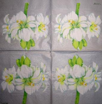 039 Lilies - 3-ply (apricot) - Stewo